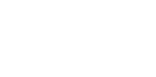Netskope